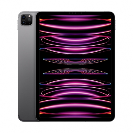 Apple iPad Pro 11 Wi-Fi 256GB spacegrau (4.Gen.) 