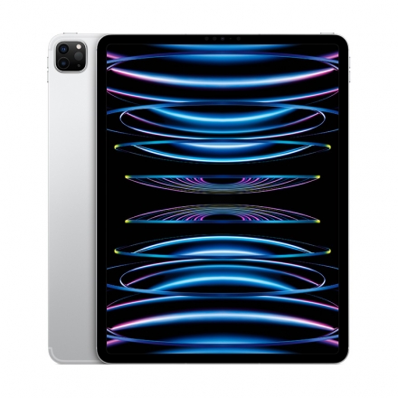 Apple iPad Pro 12.9 Wi-Fi + Cellular 2TB silber (6.Gen.) 