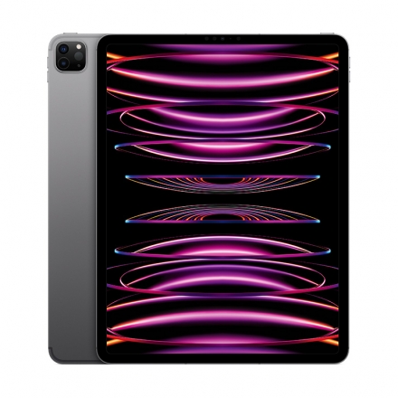 Apple iPad Pro 12.9 Wi-Fi + Cellular 128GB spacegrau (6.Gen.) 