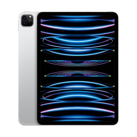 Apple iPad Pro 11 Wi-Fi + Cellular 256GB silber (4.Gen.) 