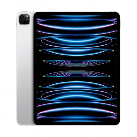 Apple iPad Pro 12.9 Wi-Fi 256GB silber (6.Gen.) 