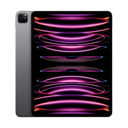 Apple iPad Pro 12.9 Wi-Fi + Cellular 2TB spacegrau (6.Gen.) 