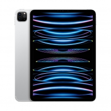 Apple iPad Pro 11 Wi-Fi 256GB silber (4.Gen.) 