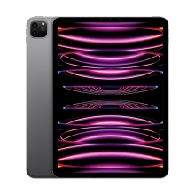 Apple iPad Pro 11 Wi-Fi + Cellular 256GB spacegrau (4.Gen.) 