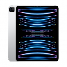 Apple iPad Pro 12.9 Wi-Fi + Cellular 128GB silber (6.Gen.) 