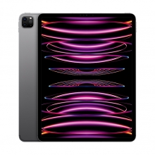 Apple iPad Pro 12.9 Wi-Fi + Cellular 128GB spacegrau (6.Gen.) 